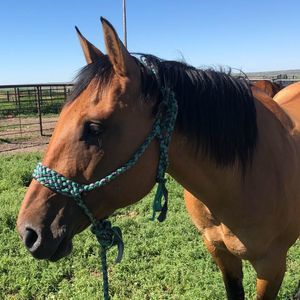 Meet your Posher, Kristi